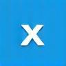 X Icon